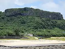 Eine dicke Felsklippe auf einer dicht bewachsenen Anhöhe hinter einem Sandstrand.