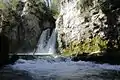 Tine de Conflens