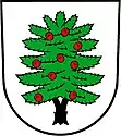 Wappen von Tis