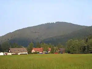 Blick von Titisee auf den Hochfirst