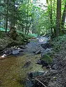 Mittleres Tobrabachtal. Waldstrecke