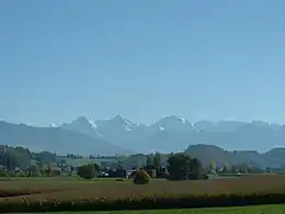 Aussicht von Toffen auf Berner Alpen