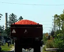 LKW-Transport von Tomaten