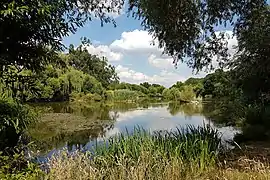 Blick über den kleinen See im Stadtpark