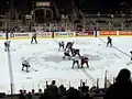 Spiel der Toronto Marlies im Coca-Cola Coliseum