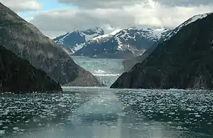 Der South-Sawyer-Gletscher am Ende des Fjords