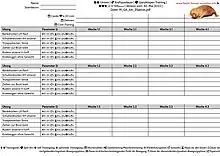 Trainingsplan für Kraftausdauer (klassisches Krafttraining)