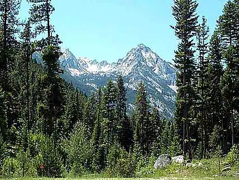 Trapper Peak in den Bitterroot Mountains