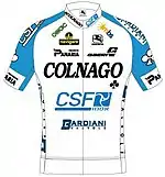 Trikot VF Group-Bardiani CSF-Faizanè