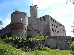 Burg Trimburg