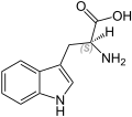 L-Tryptophan (natürliche Aminosäure)