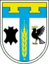 Wappen von Rajon Tysmenyzja