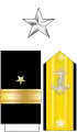 USN Rear Admiral (lh)