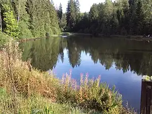 Unterer Kellerhalsteich: Blick auf die Wasserfläche