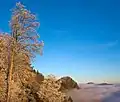 Der Üetliberg über einem Nebelmeer von der Felsenegg aus