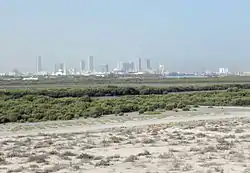 Mangroven vor der Skyline von Umm al-Qaiwain