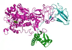 Urease (Klebsiella aerogenes)