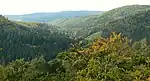 Blick von der Burgruine Löwenstein auf das Tal der Urff im Kellerwald