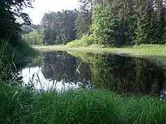 Speckweiher im Ursprungtal