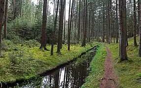 Ein Talabschnitt im Jahre 2013