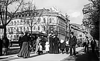 Heidelberg am Bismarckplatz (1895)