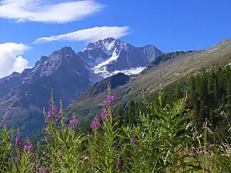 Monte Disgrazia von Norden (Val Sissone)