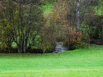 Die Flussaue des mäandrierenden Ruisseau de Varaignes