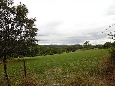 Blick von Talivaud nach Süden zum Ruisseau de Vergnes