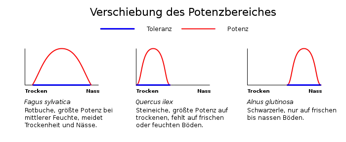 Grafik der Verschiebung des Potenzbereichs