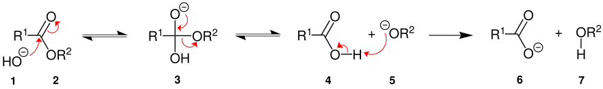 Verseifung Mechanismus