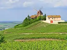 Weinberge, Weinhäuser und -keller der Champagne