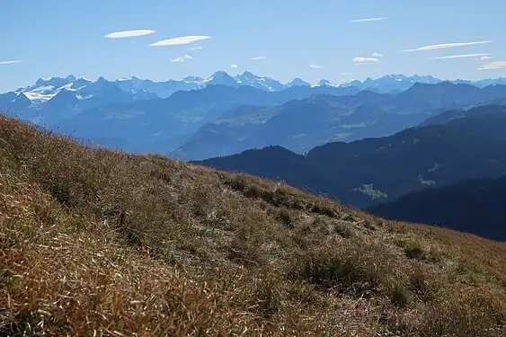 Aussicht vom Widderfeld nach Süd-Westen in die Berner Alpen