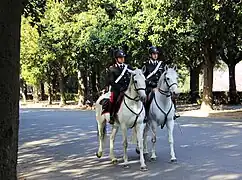 Berittene italienische Carabinieri in Rom (2011)