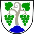 Wappen von Vipava