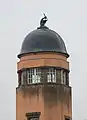 Ein Mikroskop (mit Blitzableiter) auf dem Turm des Instituts für Virologie in Straßburg/Elsass