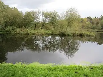 Mühlenteich bei der Bullmühle in Siedenbögen