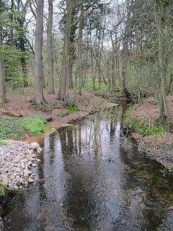 Twillbäke oberhalb der Bullmühle in Siedenbögen