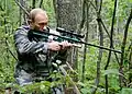 Angeblich rettete Putin mit einem Betäubungsgewehr Anwesende vor einem Tiger-Angriff