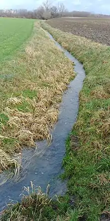 Oberlauf des Voßbach bei Ennigerloh