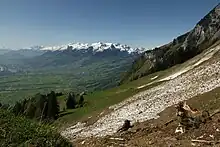 Frümseralp mit Sicht Richtung Grabs