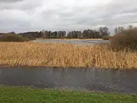 Wümme bei Gezeiten-, Wind und Niederschlagshochwasser am 26. Dezember 2023