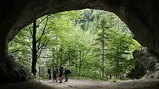 Die Tischofer Höhle