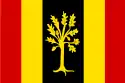 Flagge der Gemeinde Waalwijk