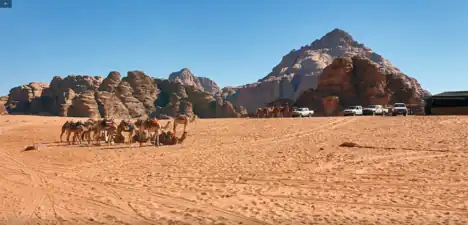 Wadi Rum: Beduinen-Camp, März 2020