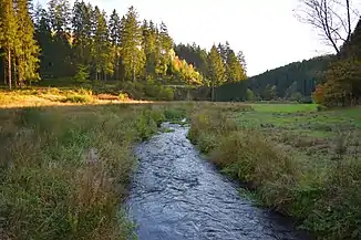 Lauf der Wadrill durch den "Wiesengrund" in Reinsfeld, nahe der Felsformation "Frau Holle"