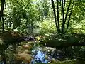 Wagnersgrube im Sommer 2007