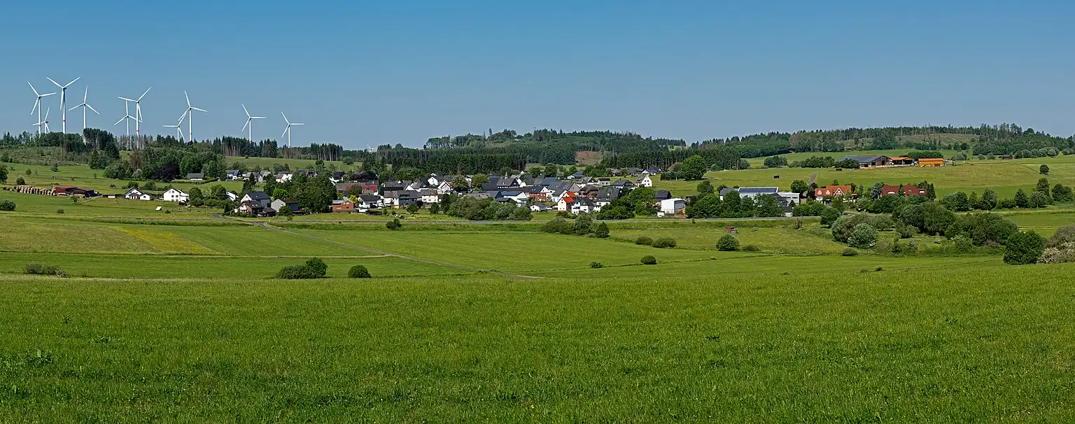 Blick von Osten auf Waldaubach. Im Hintergrund die Fuchskaute.