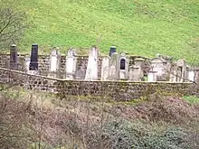 Mennonitischer Friedhof