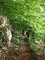 Wanderweg an der Erzbahn Schönborn-Dreiwerden