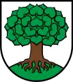 Linde(Linn CH, mit markanten „Linden-“blättern)